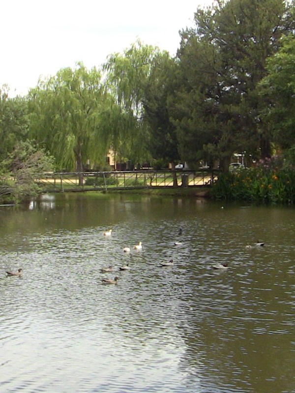 Waring Gardens in&nbsp;2013